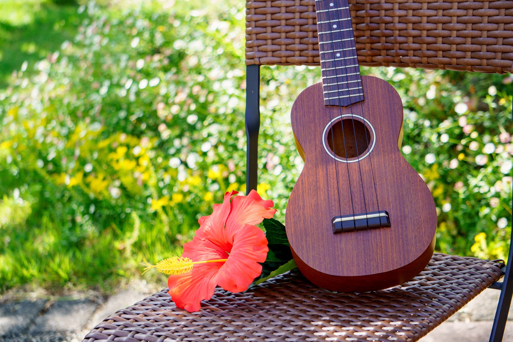 �n���C�A���E�N�����̌�9/23